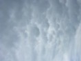 /album/a12-6-2009-pozorovan-cumulonimbus-mammatus/dscn8092-jpg/
